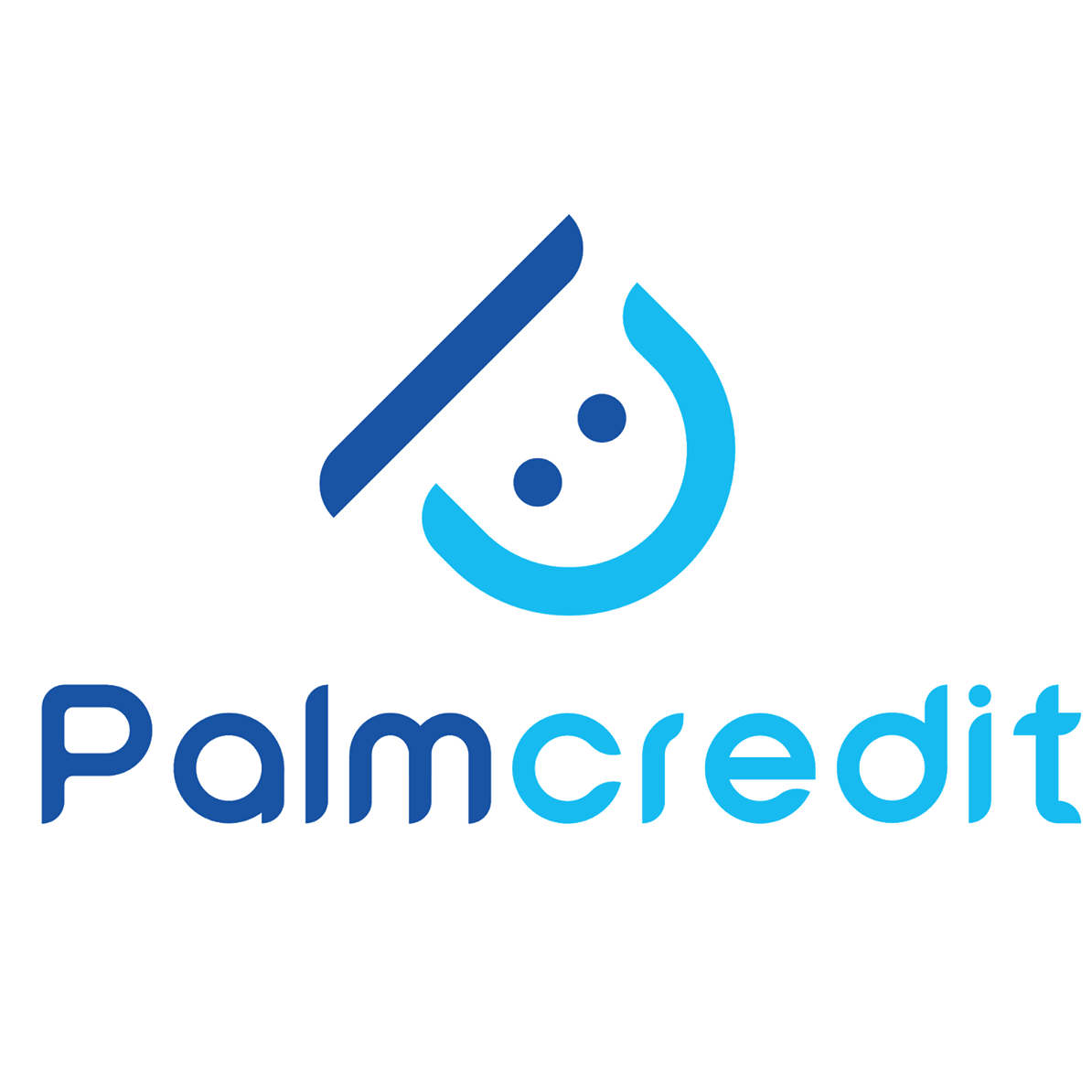 PalmCredit Customer Care Number